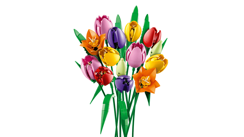 Lego Rental Colorful bouquet of tulips on a transparent background