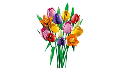 Lego Rental Colorful bouquet of tulips on a transparent background